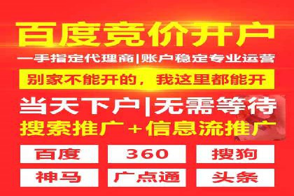 金融行业SEM服务的创新应用与效果